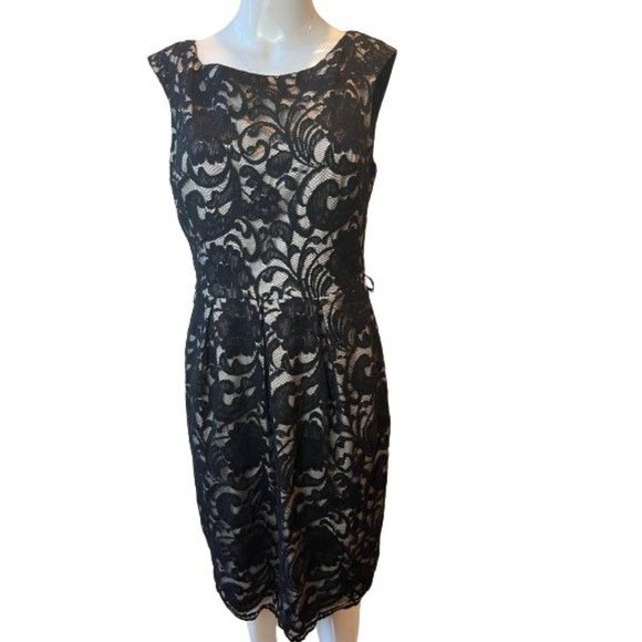 Eliza J Womens Lace Sheath Dress EJ2M2743 Back V Round Neck Black Cream Size 10 - Picture 3 of 11